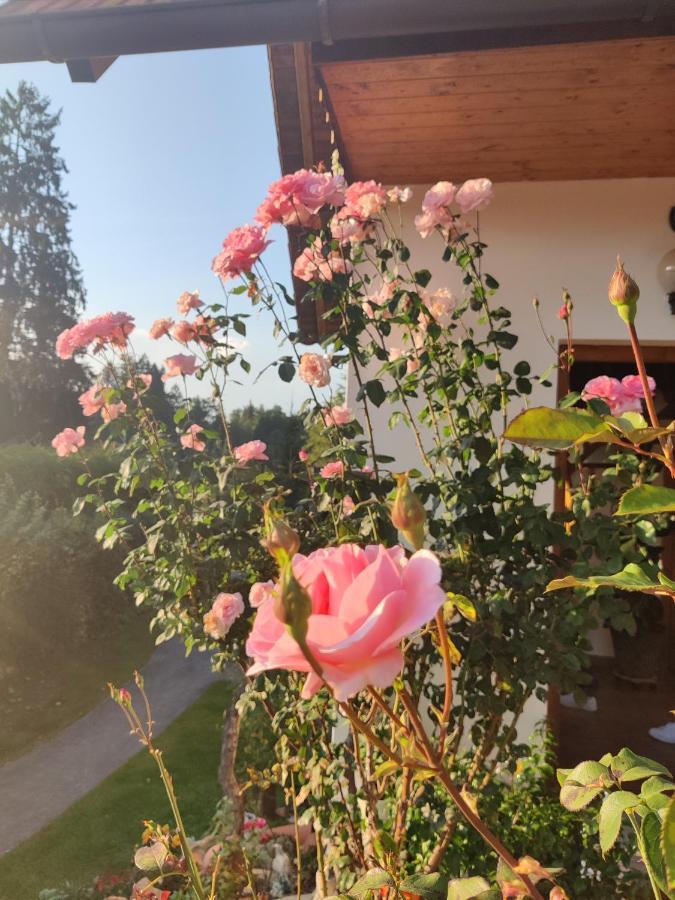 Pension Treissmann Pichling bei Stainz Екстер'єр фото